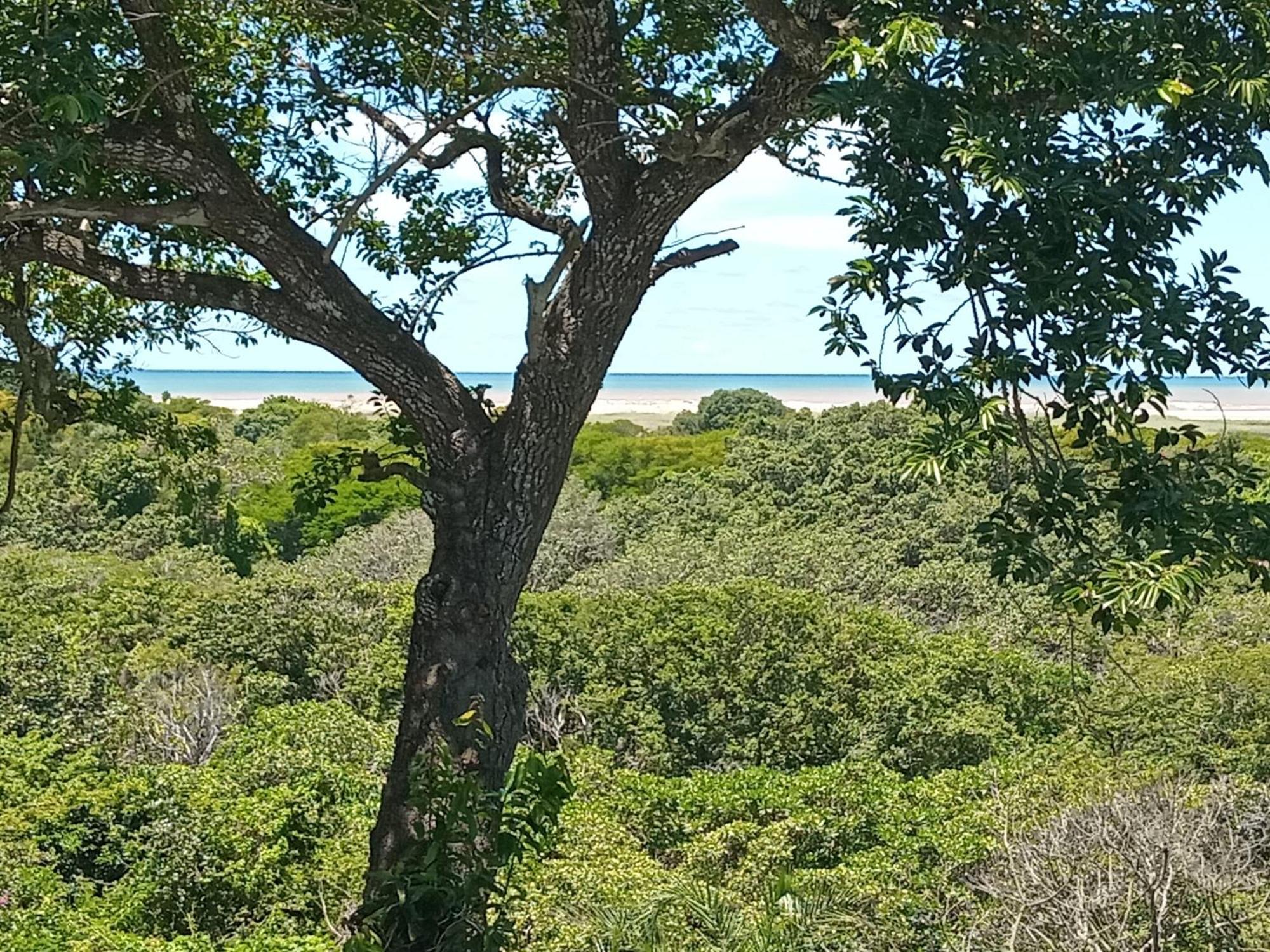 St. Lucia Ocean View Holiday Home Εξωτερικό φωτογραφία